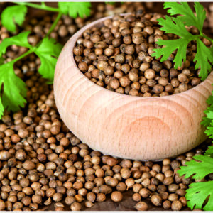 Coriander Seeds