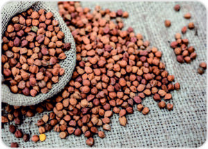 Desi Chana (Brown Chickpeas)