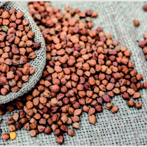 Desi Chana (Brown Chickpeas)