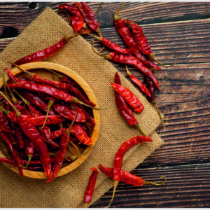 Red Chilli (Capsicum annuum)