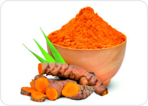 Turmeric Powder