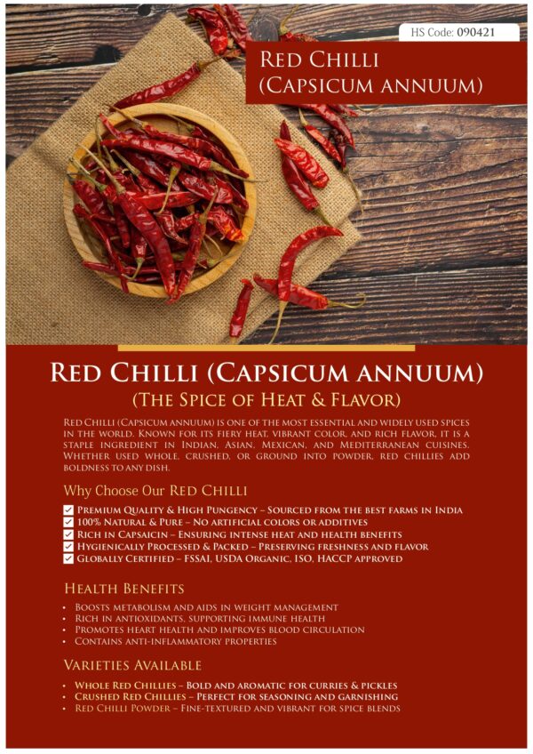Red Chilli (Capsicum annuum) - Image 2