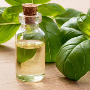 Basil Oil