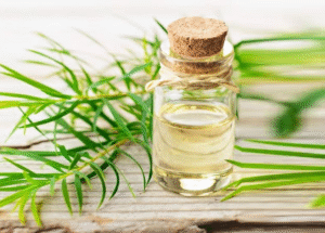 Tea Tree Oil