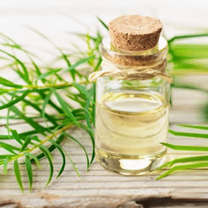 Tea Tree Oil
